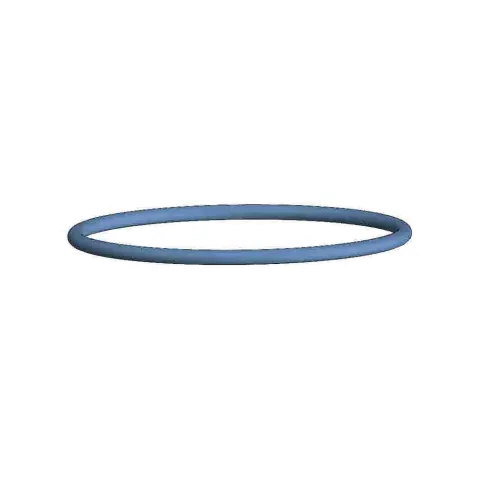 O-Ring, Lower Cap