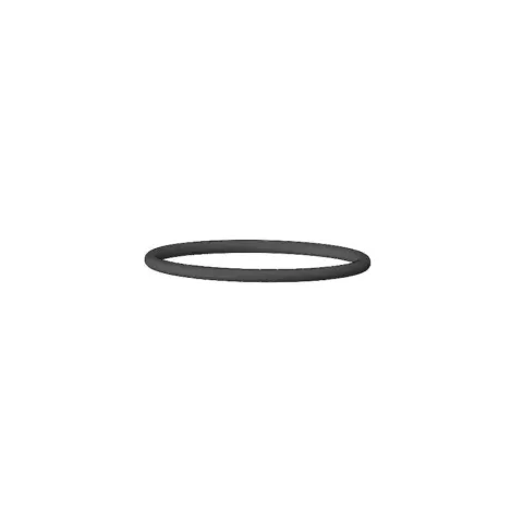 O-Ring, Rebound Pipe