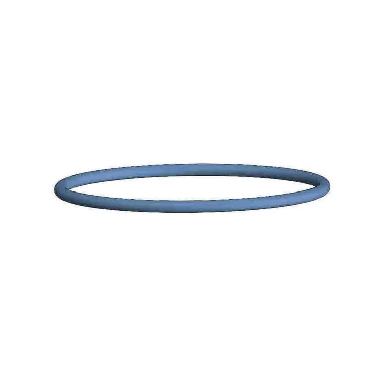 O-Ring, Lower Cap